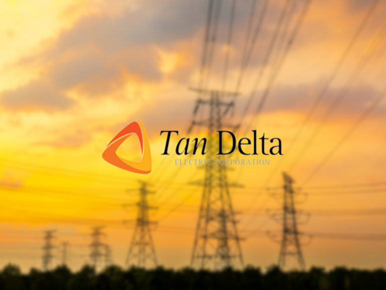 A blurred image of high voltage power lines against a vibrant sunset sky, with shades of orange and yellow. The logo for "Tan Delta Electric Corporation" is prominently displayed in the foreground, featuring a stylized orange shape and bold black text. The scene conveys a sense of energy and electricity in a dynamic environment.